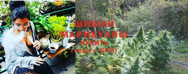 дмт Няндома