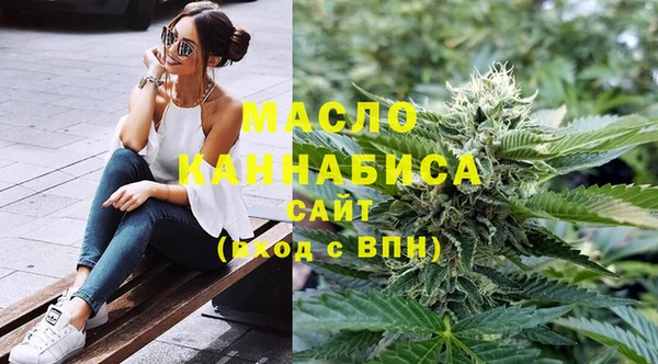 дмт Няндома